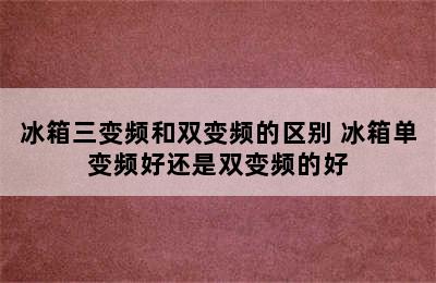 冰箱三变频和双变频的区别 冰箱单变频好还是双变频的好